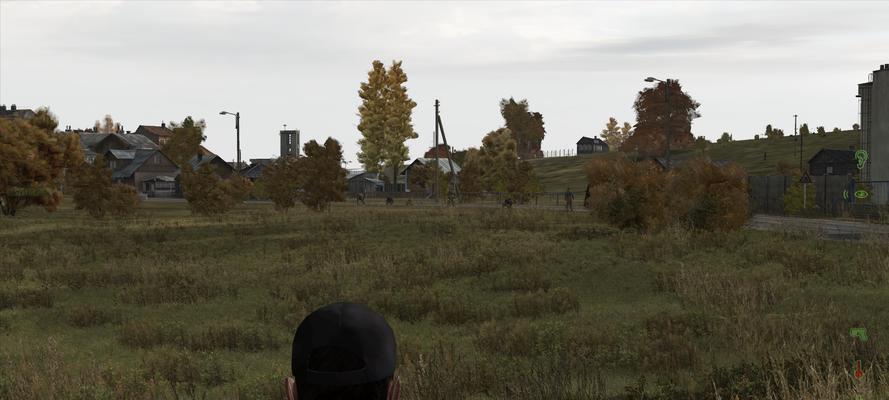 DayZ独立版物品全面解析（详细介绍DayZ独立版中所有重要物品及其用途）