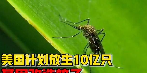 《迸发残片刷法和生存技巧全攻略》（掌握迸发刷残片的关键方法）